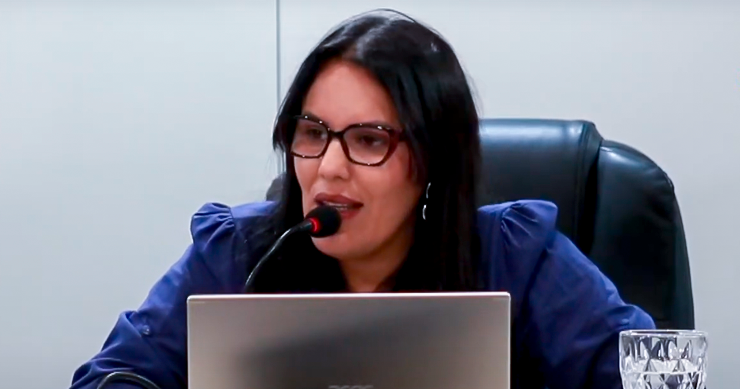 Leia mais sobre o artigo Vereadora cobra arborização no distrito de Cumaru